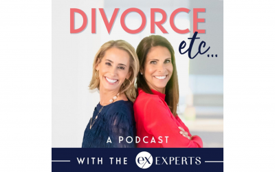 Divorce decoded with exEXPERTS