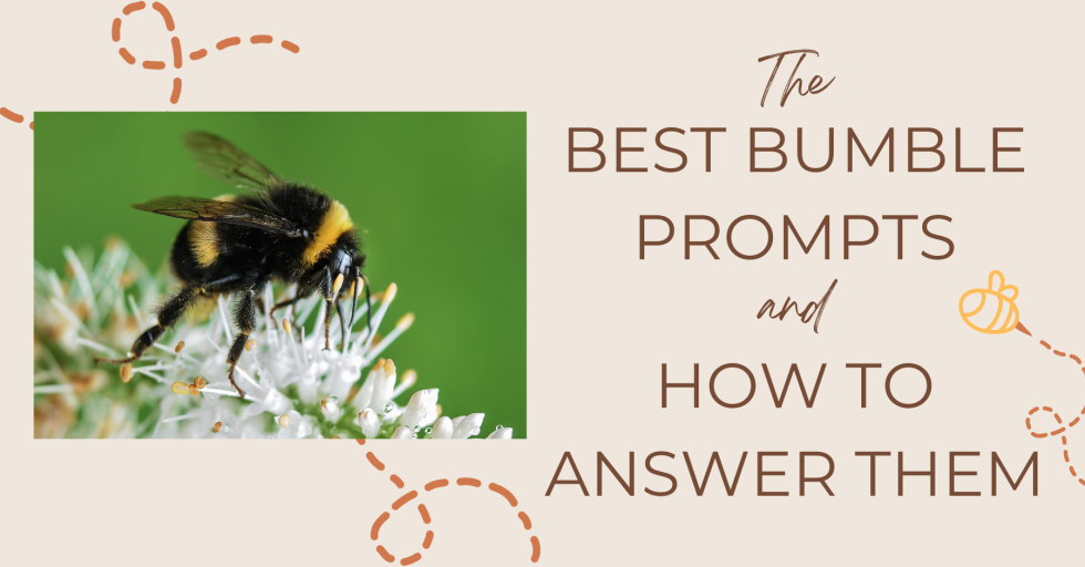 Best Bumble Prompts Unveiling the 13 Best Bumble Prompts & How To Answer Them SMP